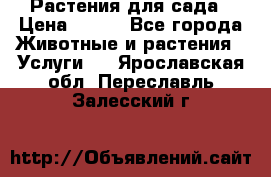 Растения для сада › Цена ­ 200 - Все города Животные и растения » Услуги   . Ярославская обл.,Переславль-Залесский г.